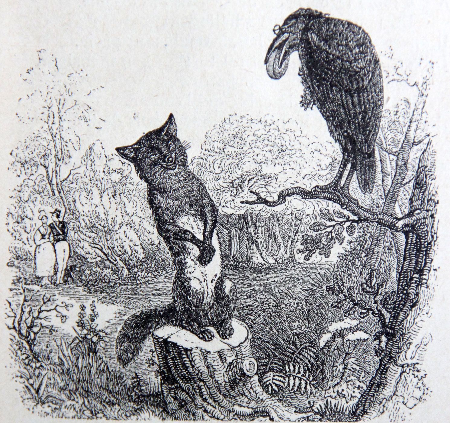 Le Corbeau Et Le Renard - Fable De Jean De La Fontaine